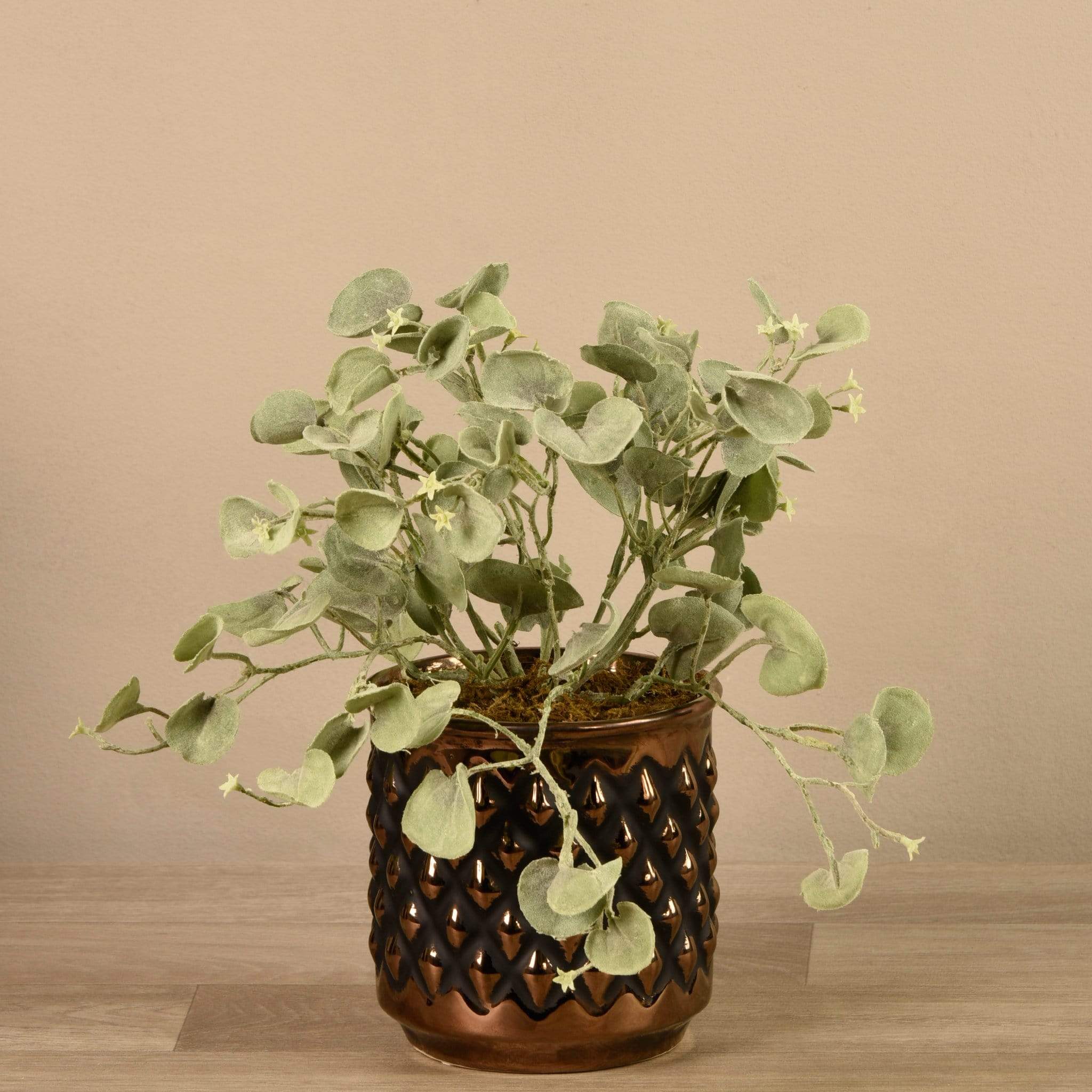 صورة المنتج 2