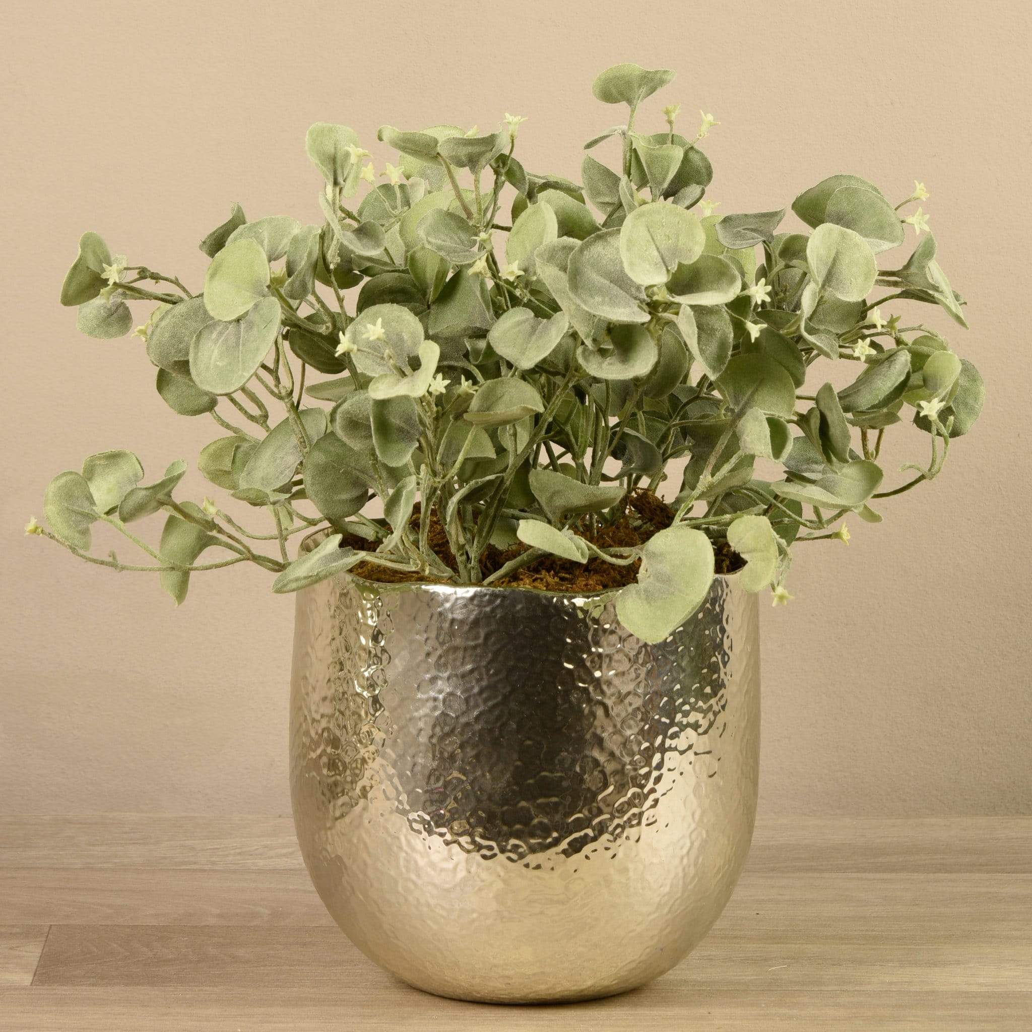 صورة المنتج 3