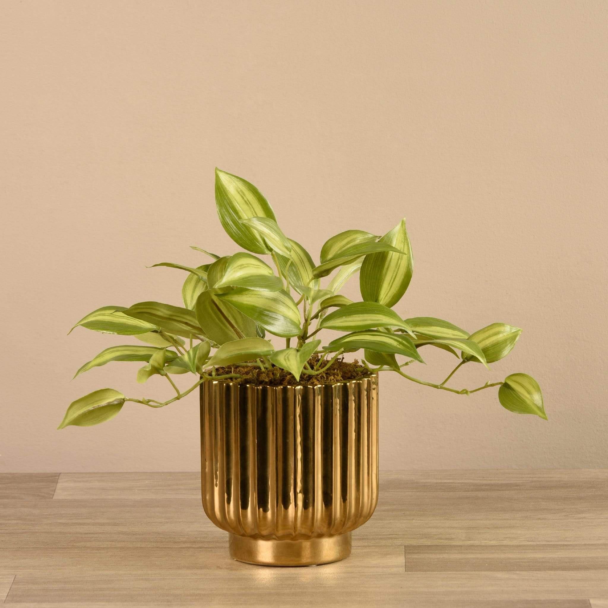 صورة المنتج 2