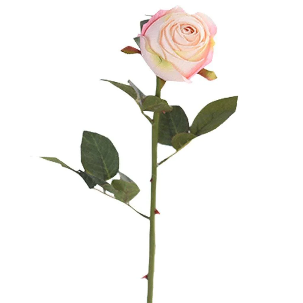صورة المنتج 2