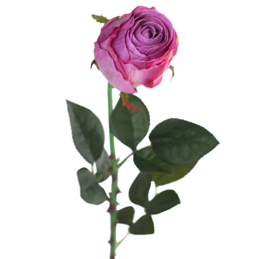 صورة المنتج 5