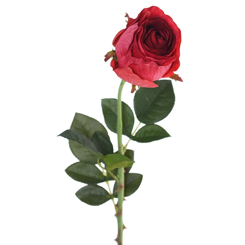 صورة المنتج 6