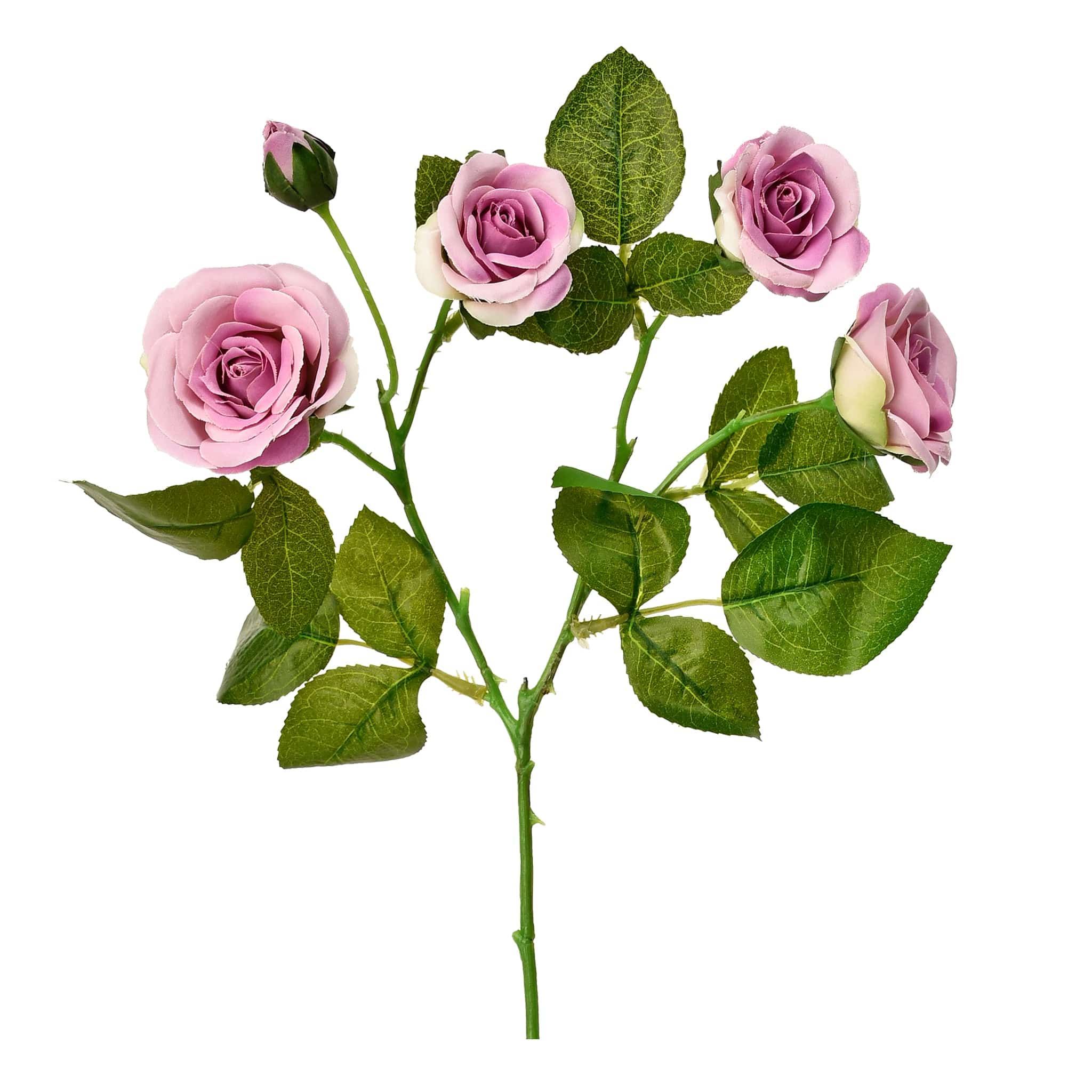 صورة المنتج 4