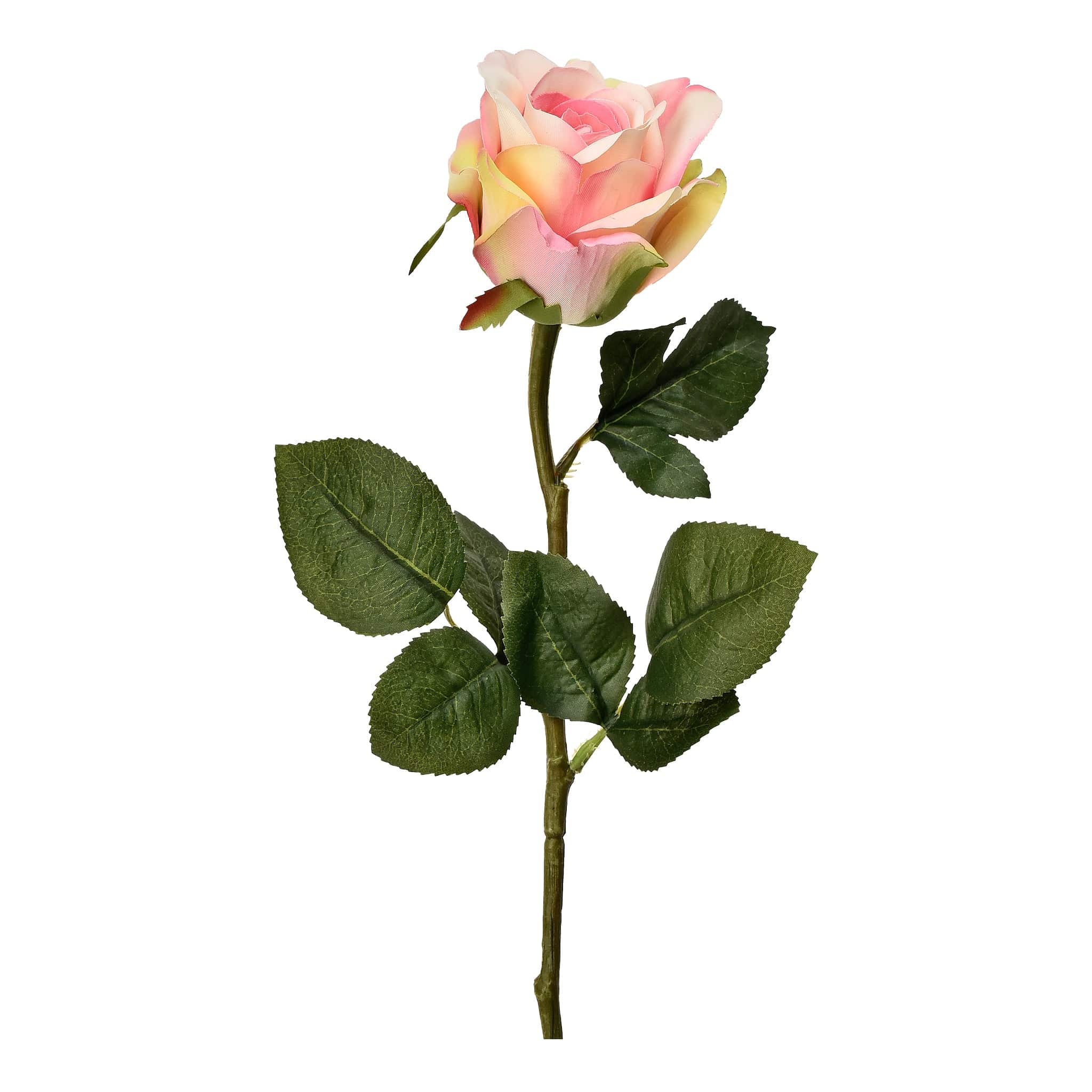 صورة المنتج 2