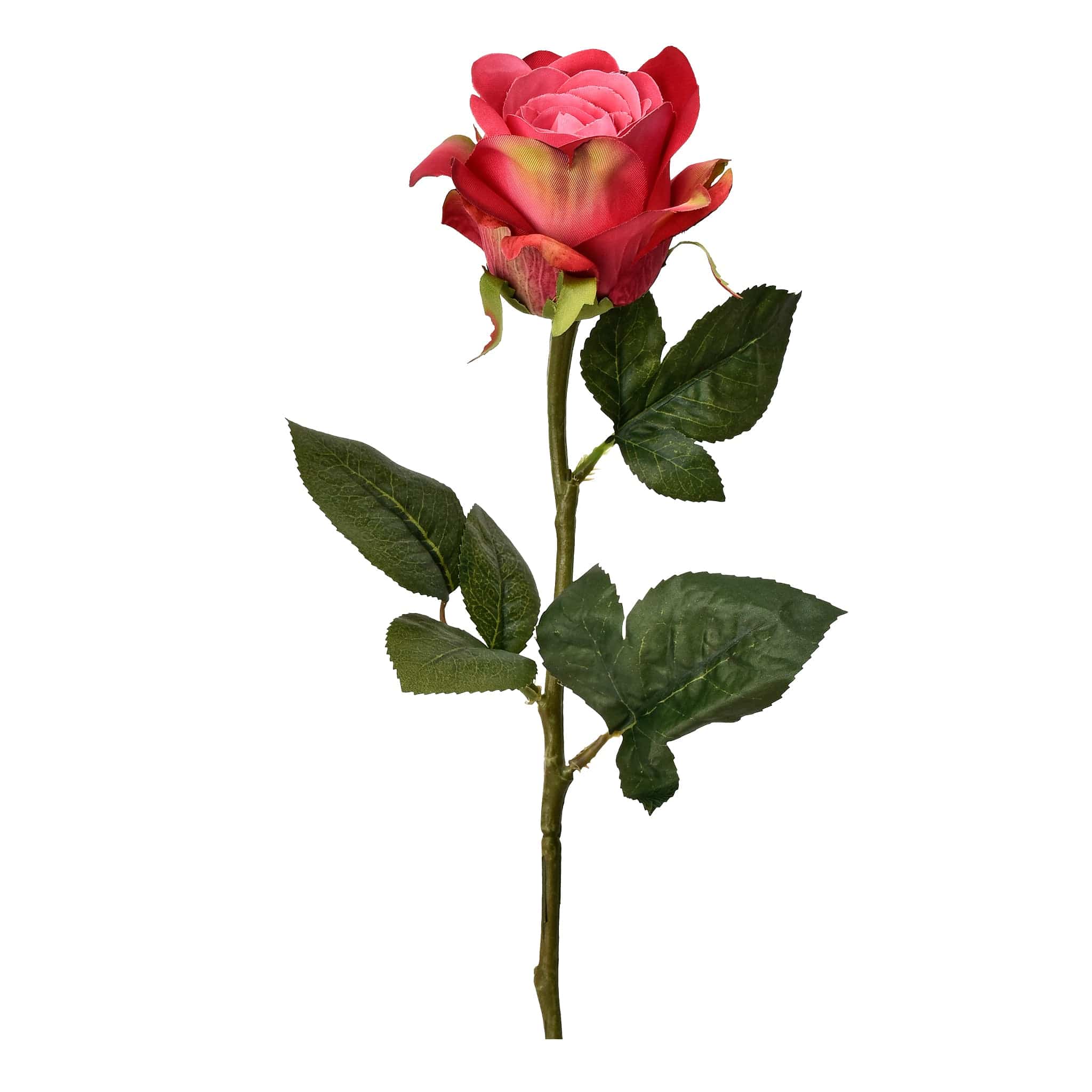 صورة المنتج 3