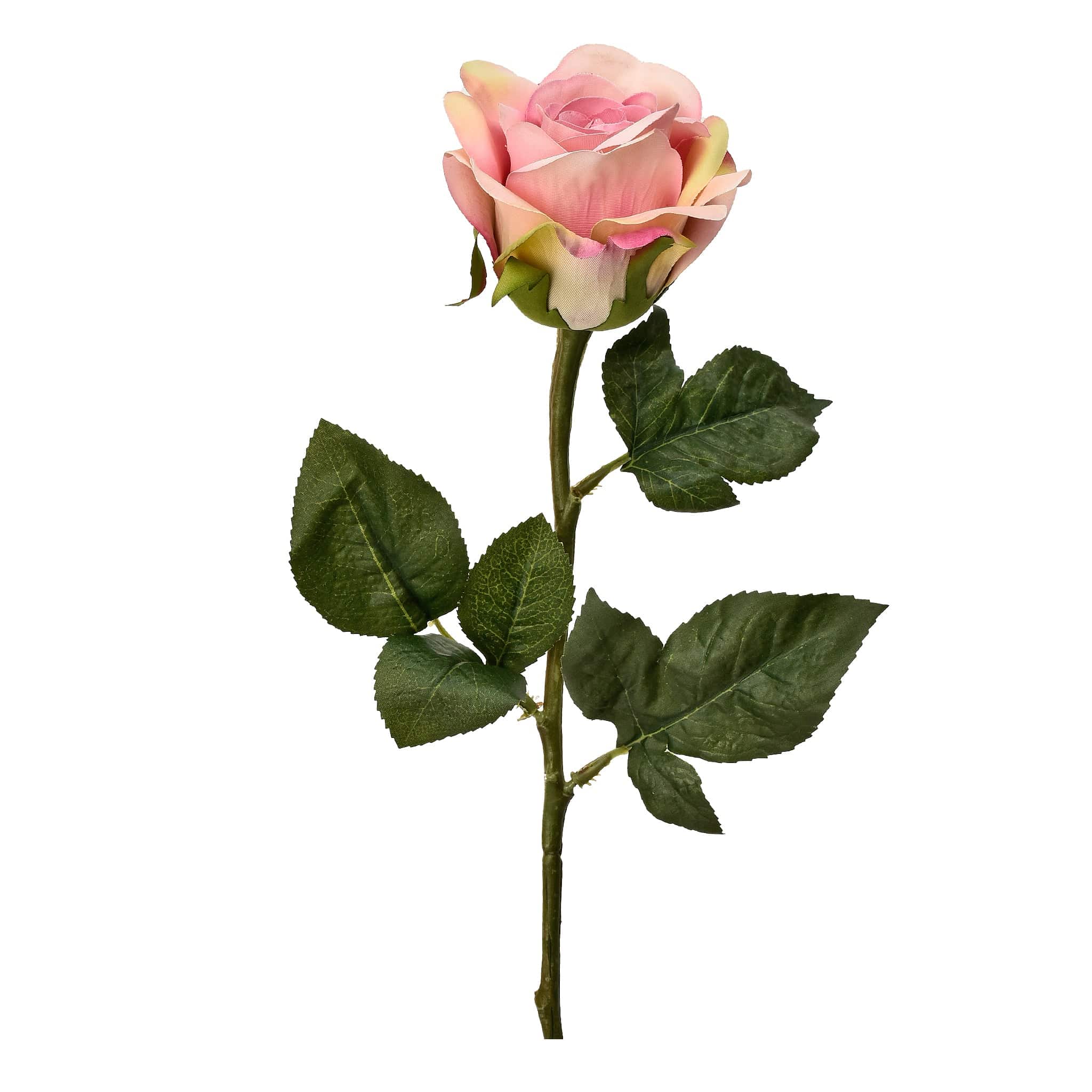 صورة المنتج 4