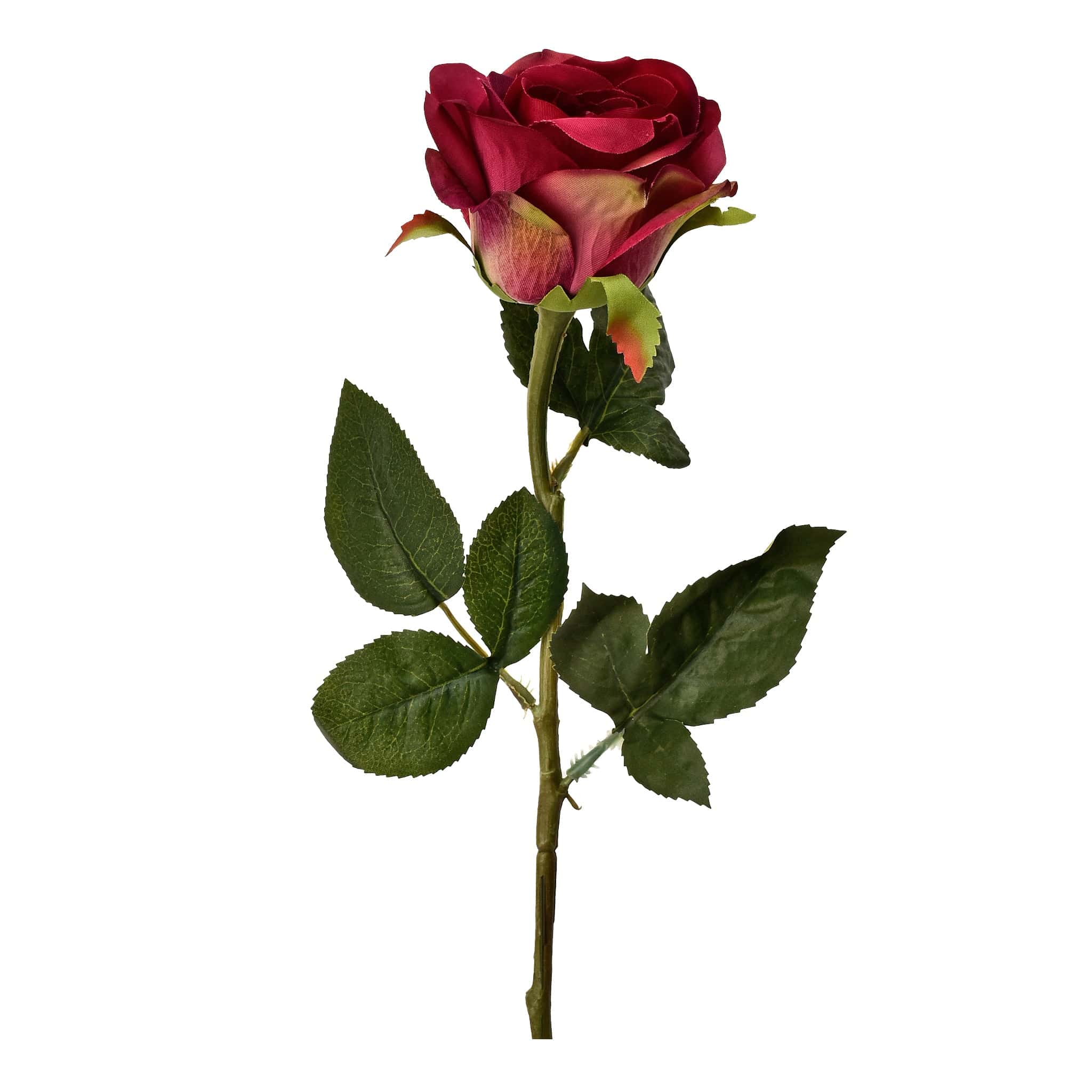 صورة المنتج 5