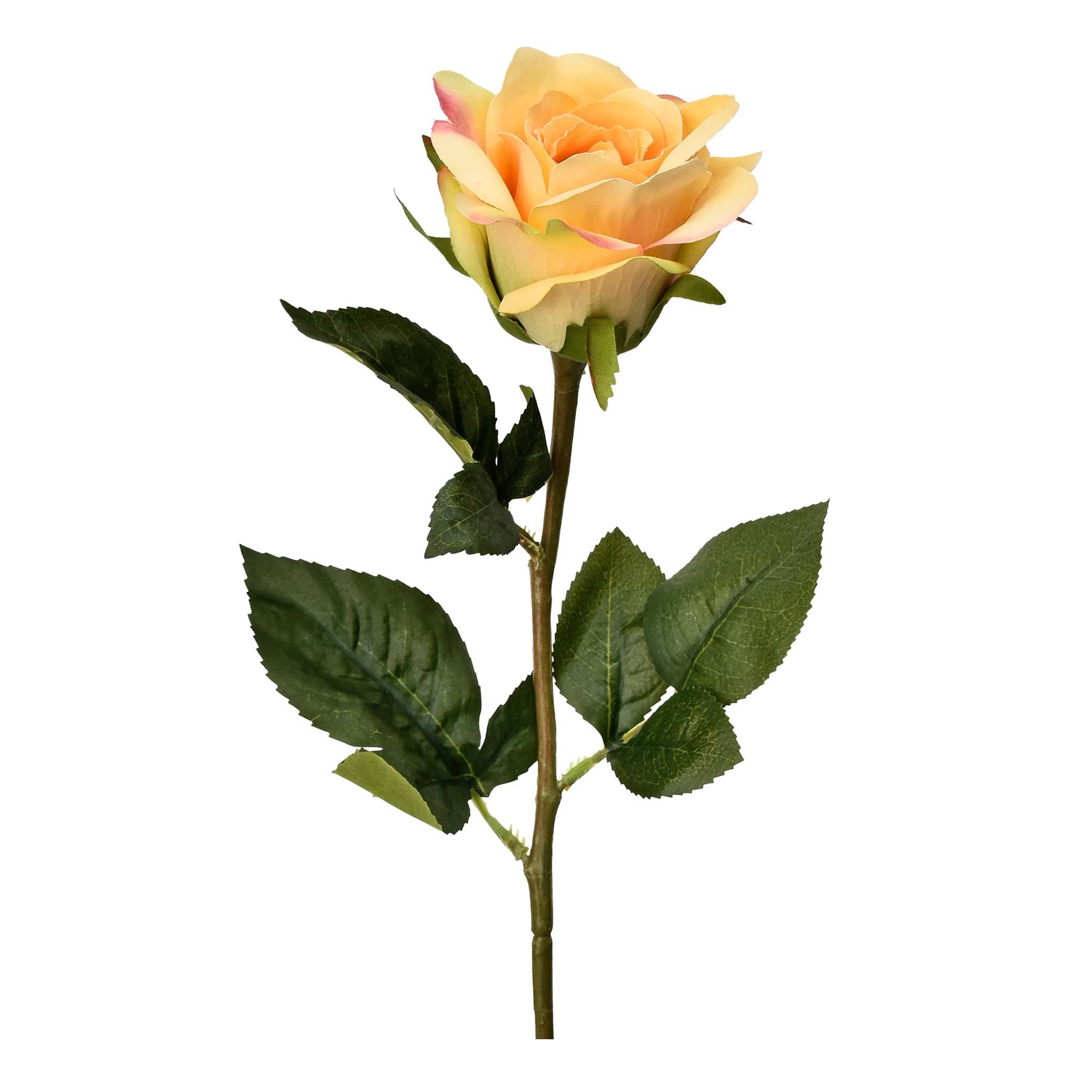 صورة المنتج 6