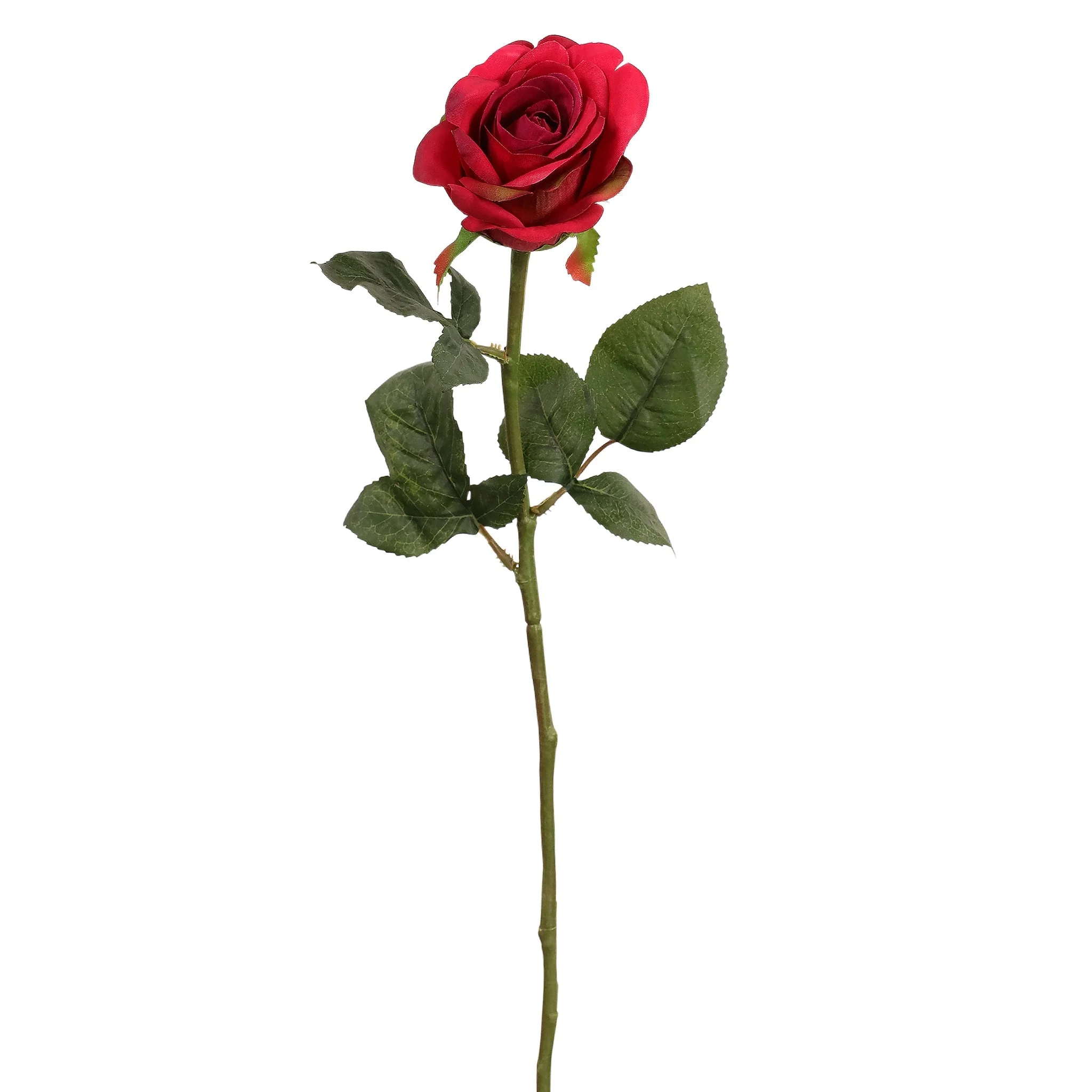 صورة المنتج 7