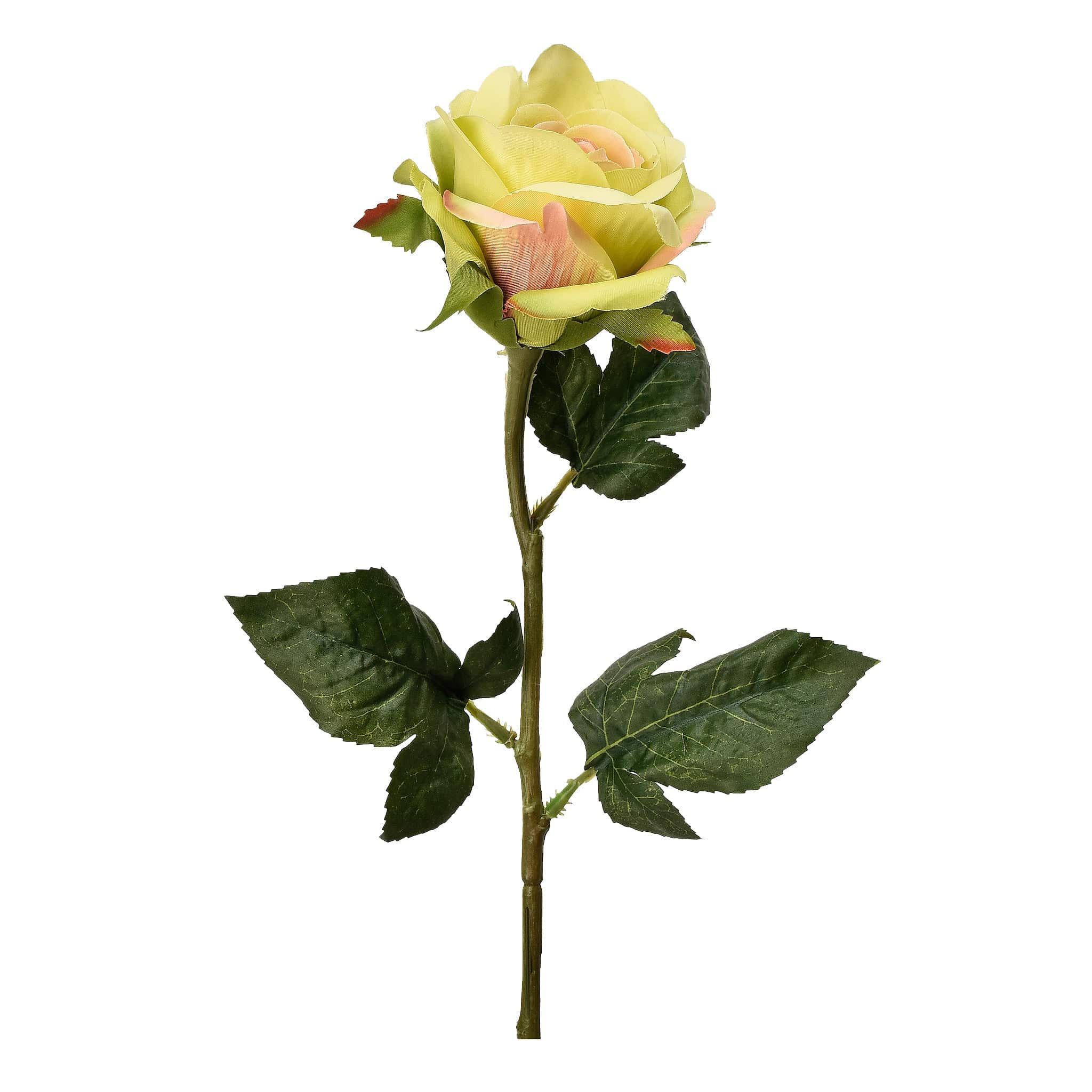 صورة المنتج 8