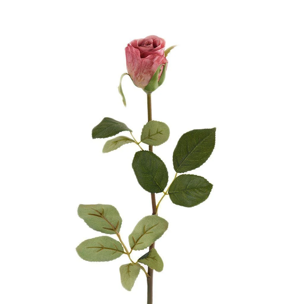 صورة مصغرة 1