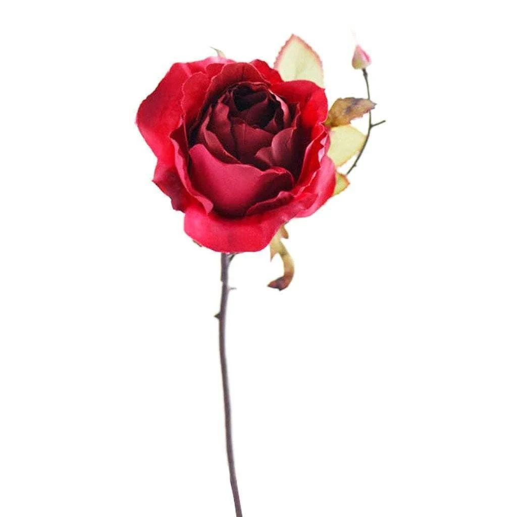 صورة المنتج 5