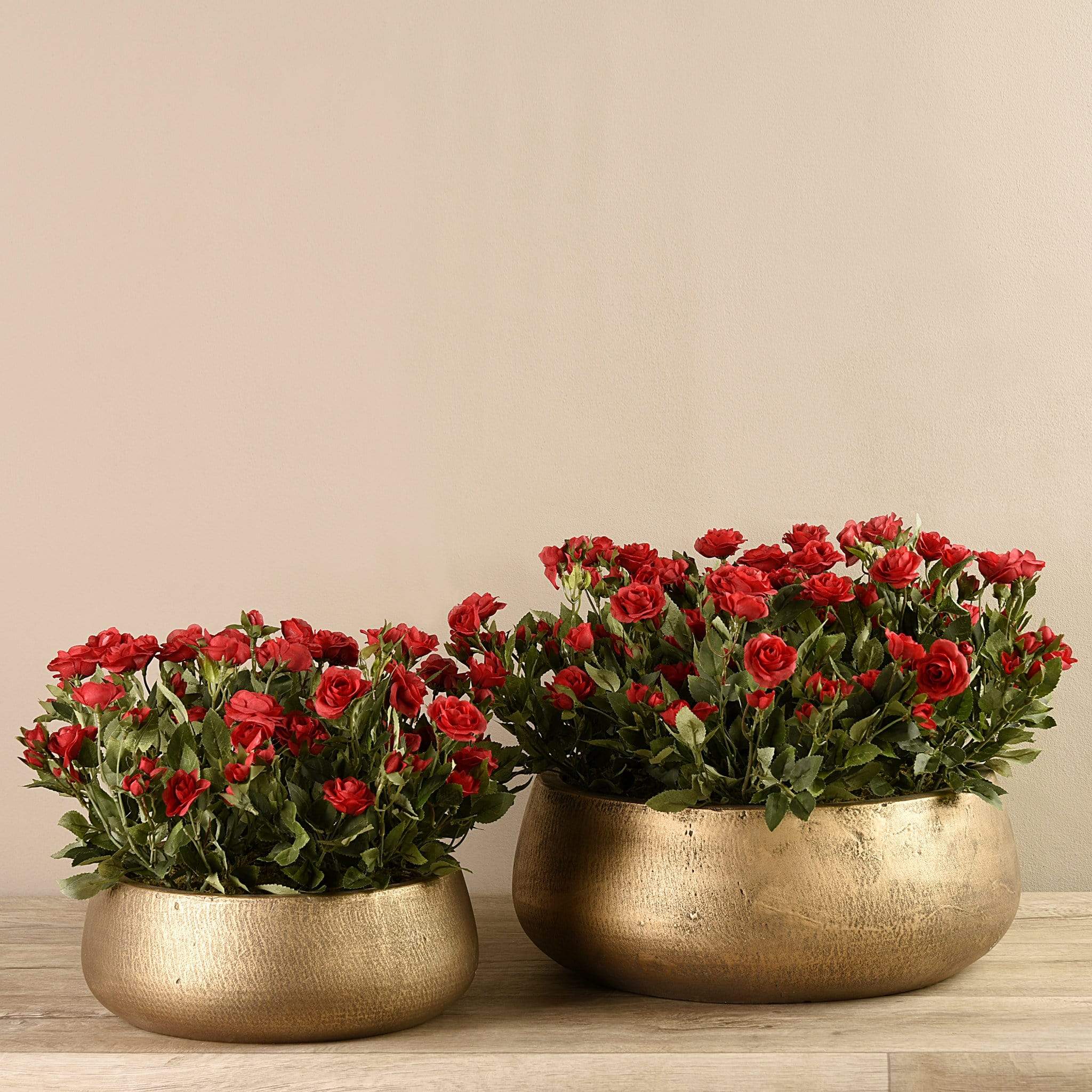 صورة المنتج 10
