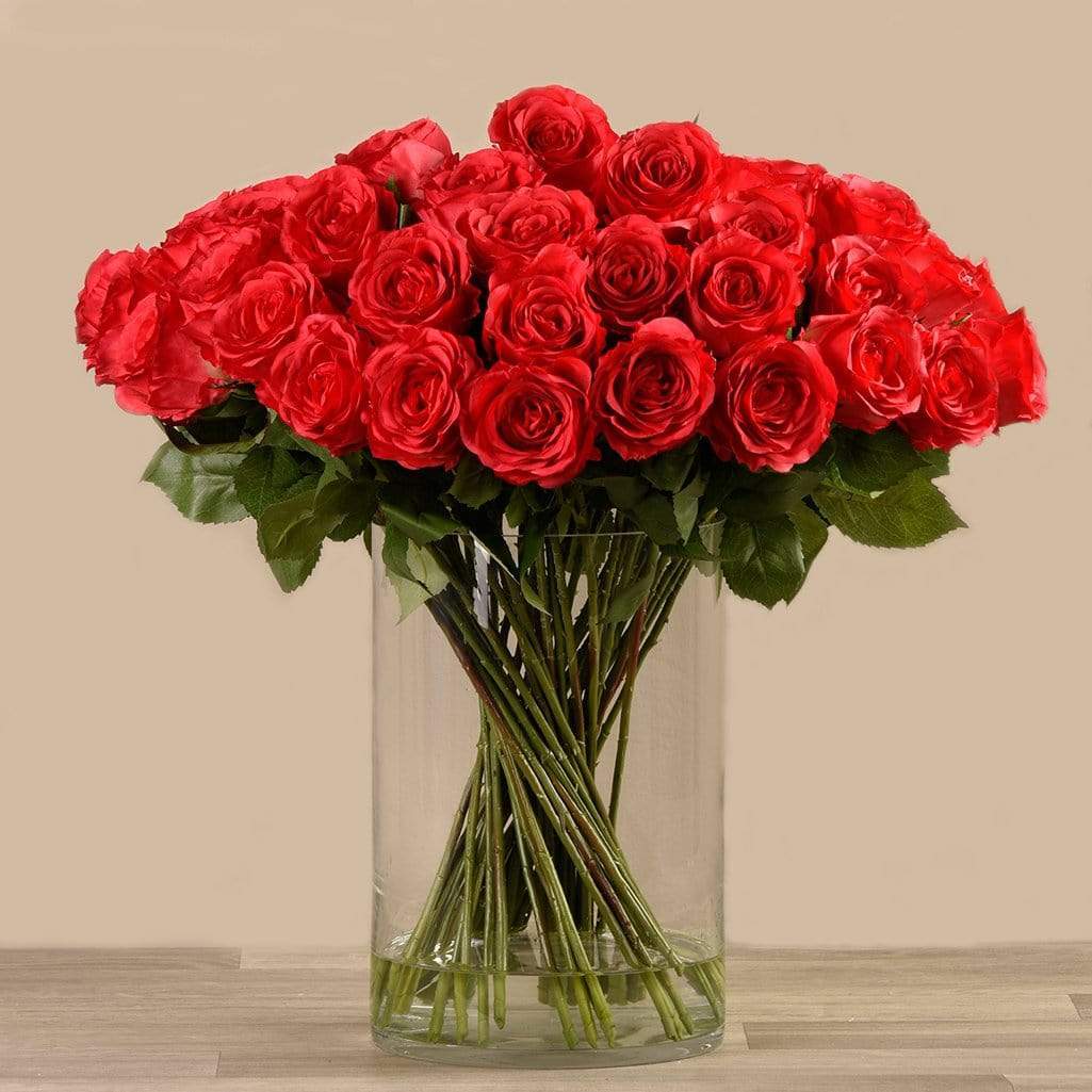 صورة المنتج 6
