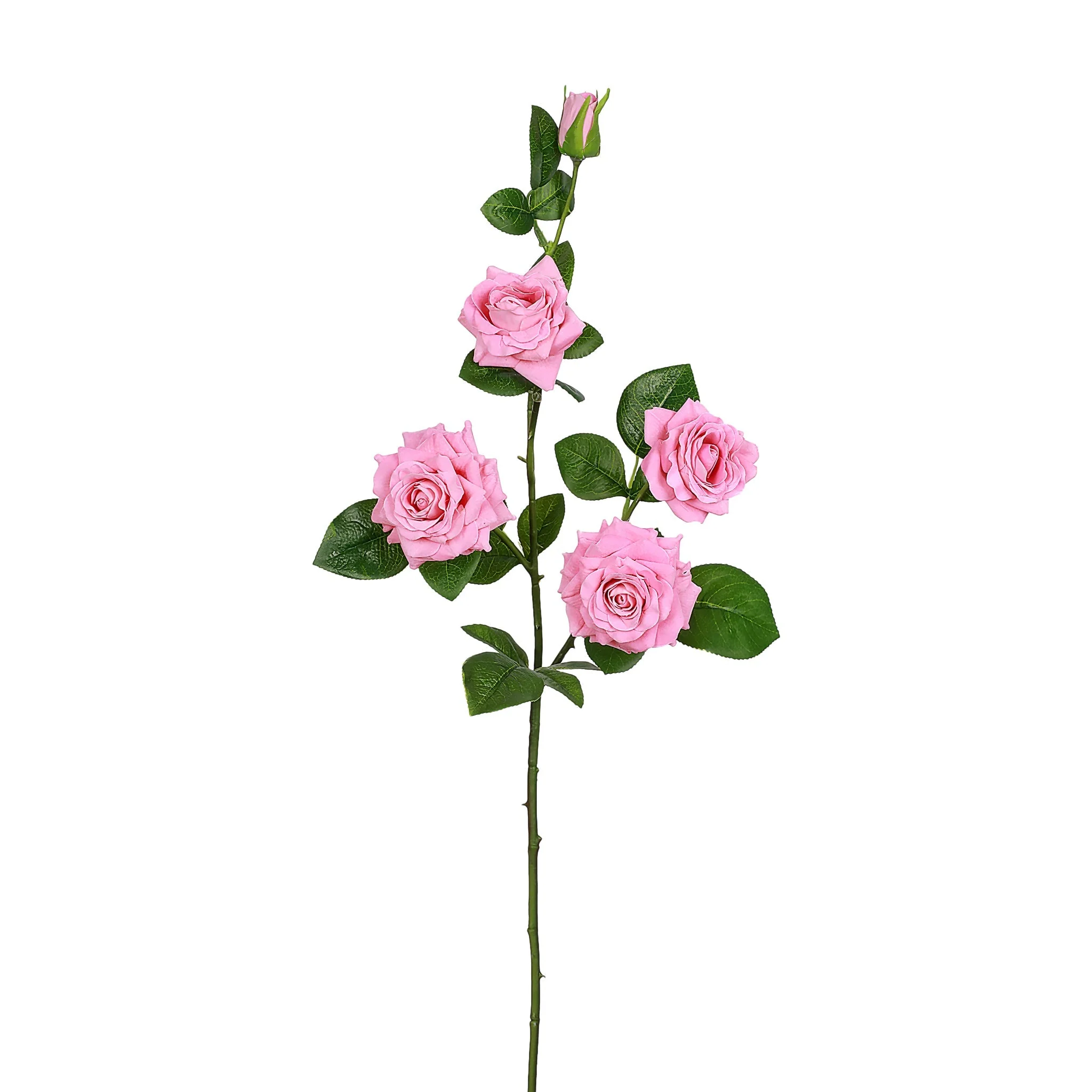 صورة المنتج 2
