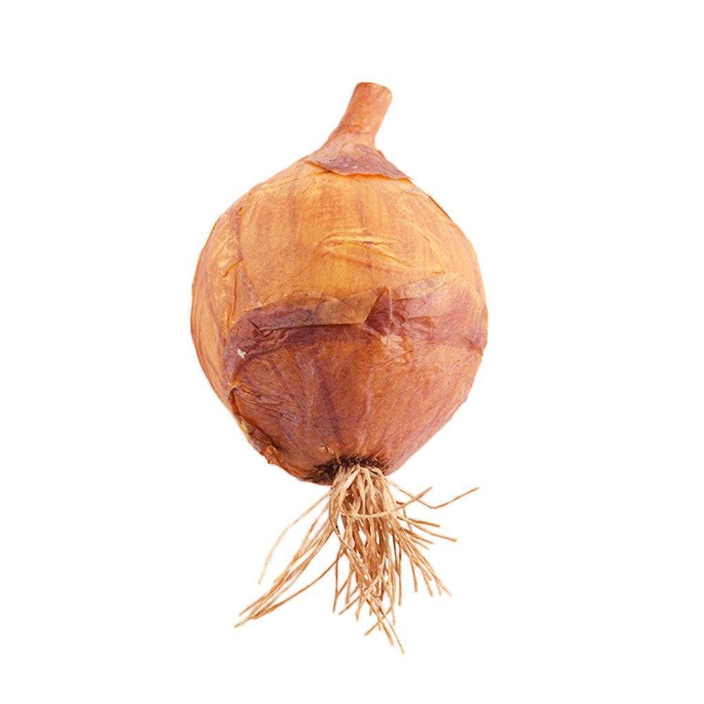 صورة مصغرة 1