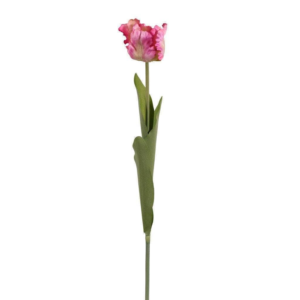 صورة المنتج 4