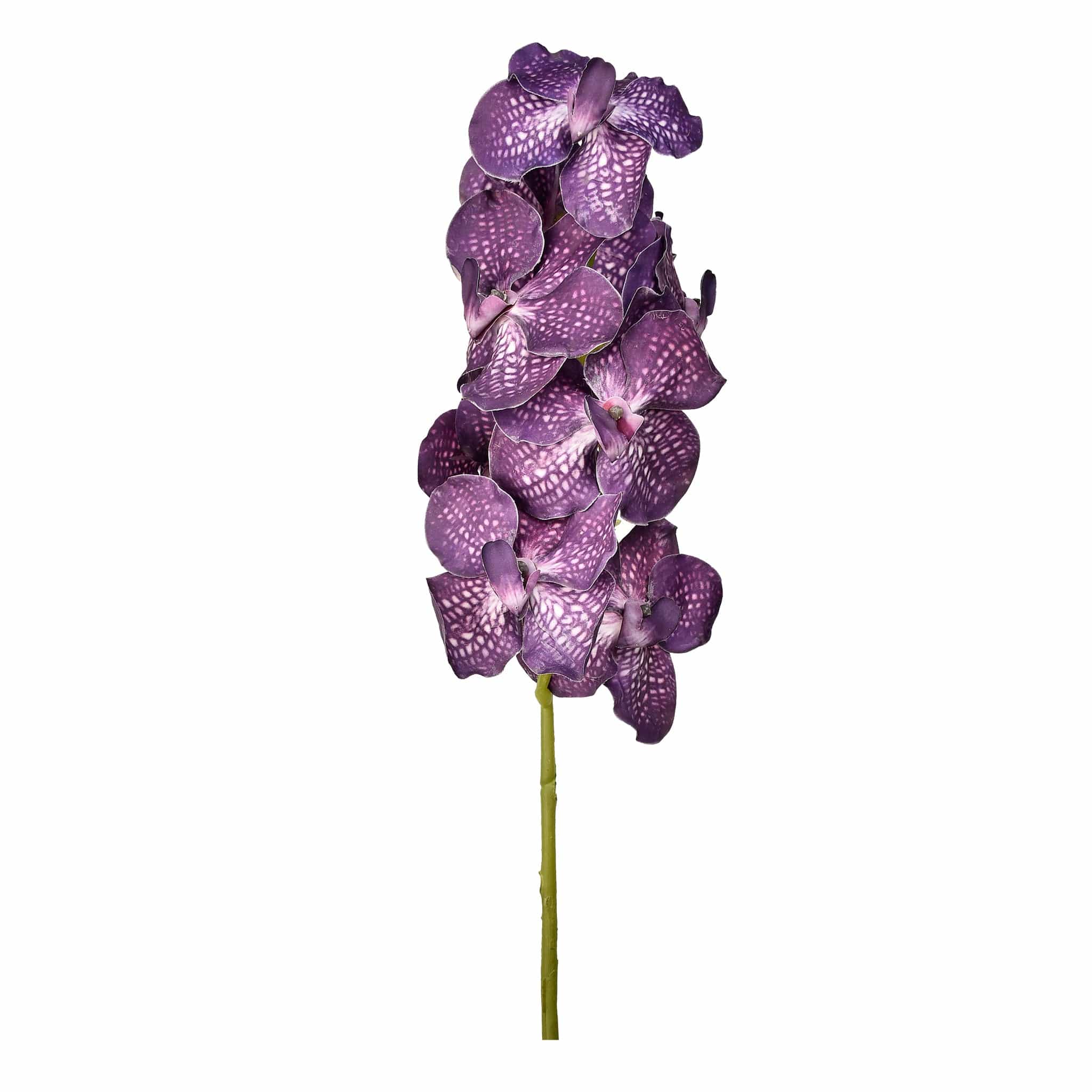 صورة المنتج 2