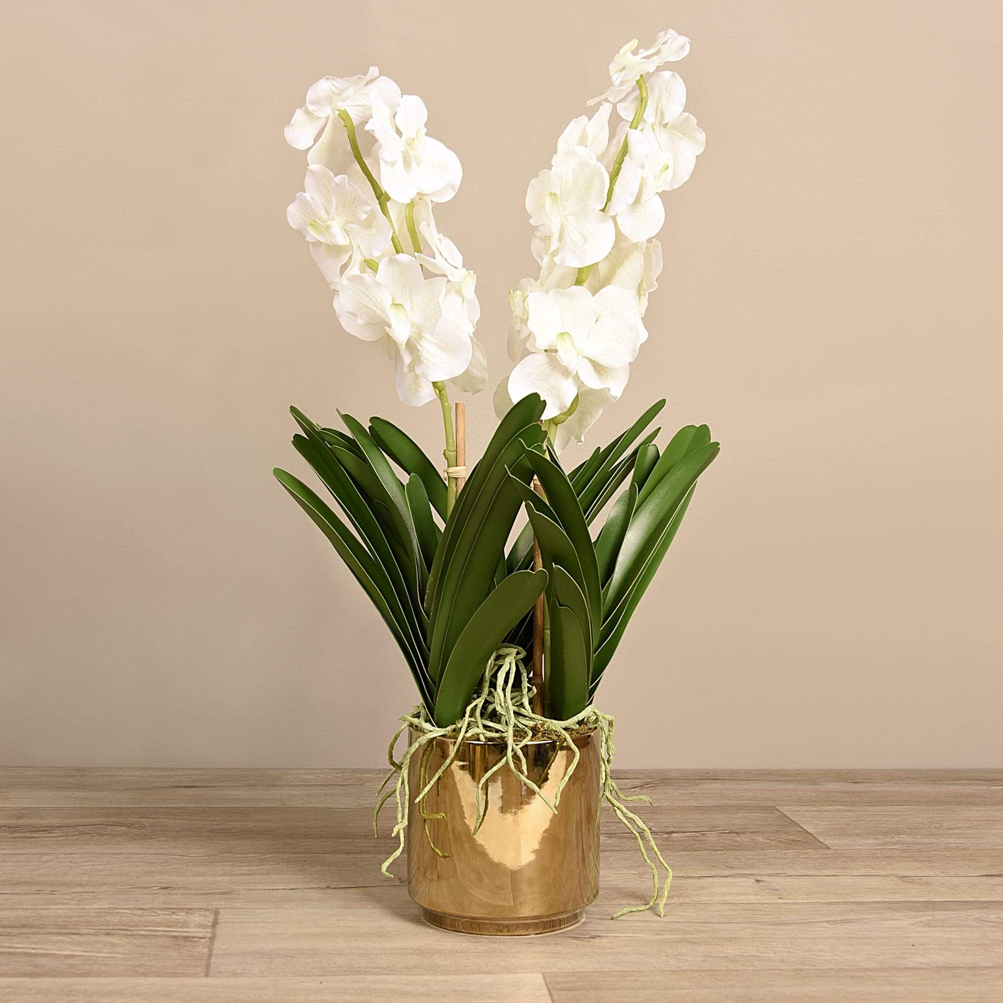 صورة المنتج 3