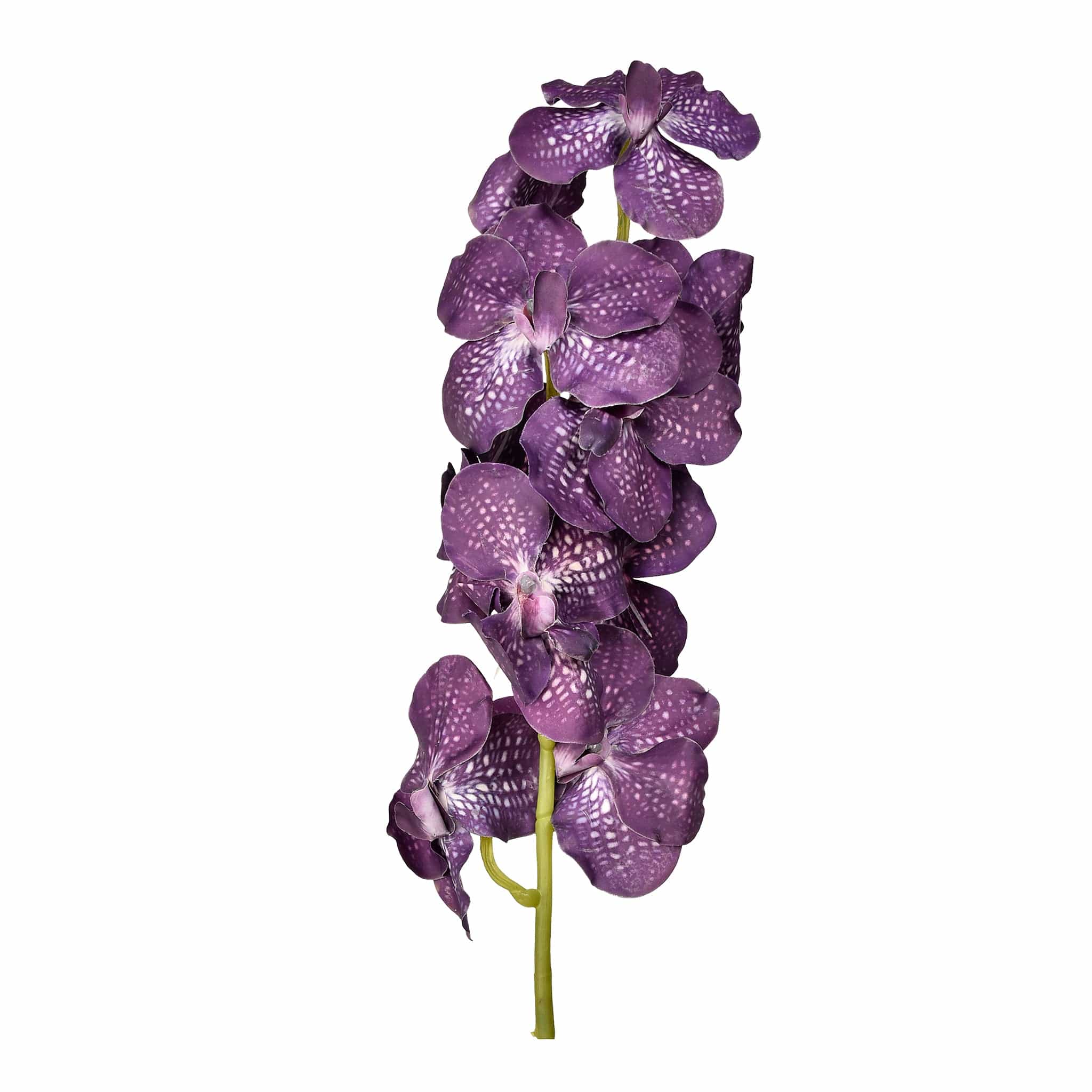 صورة المنتج 2