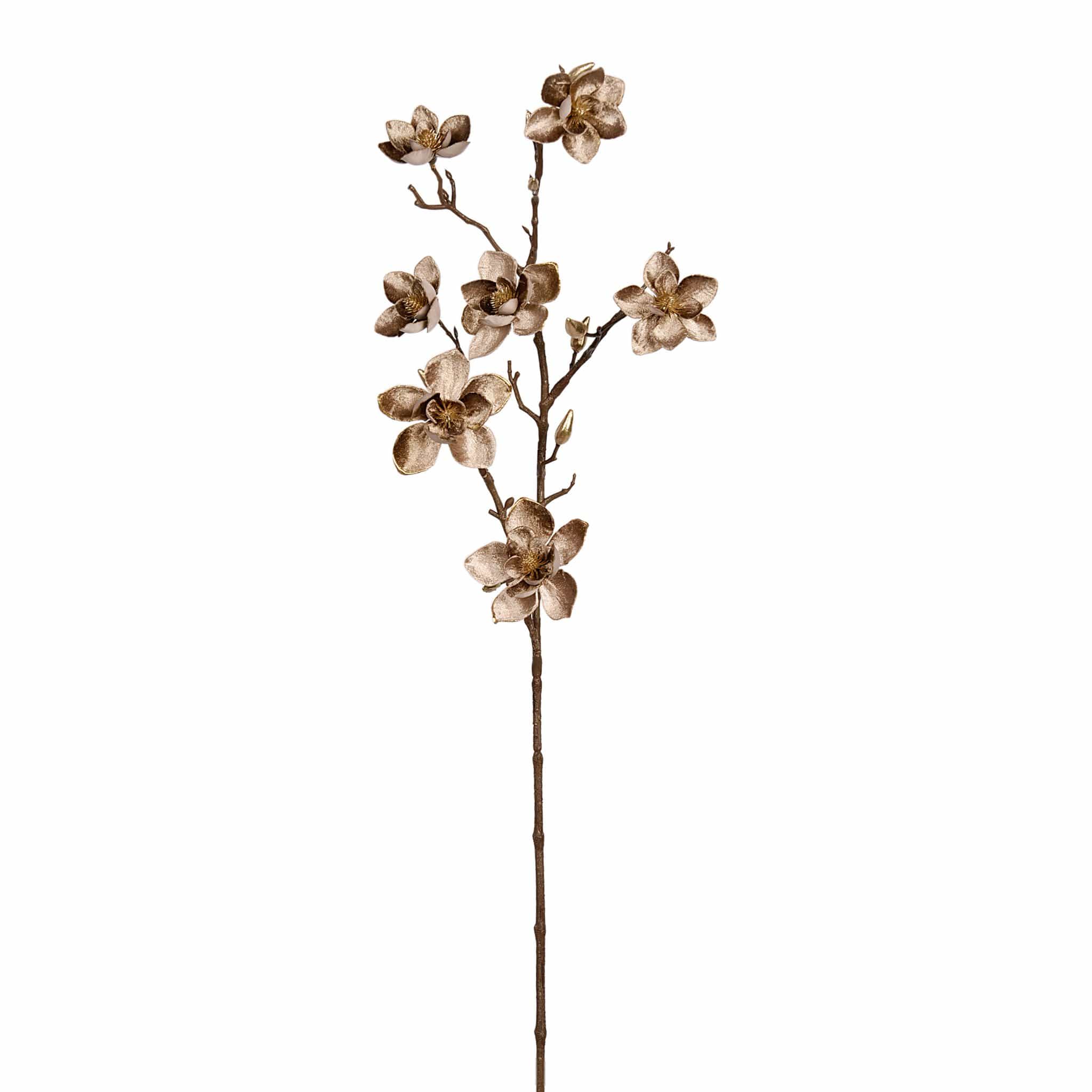 صورة المنتج 3