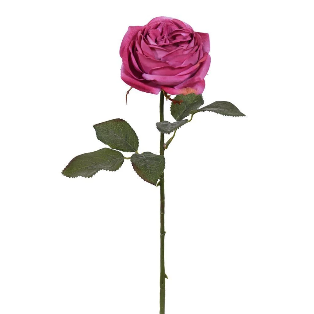 صورة المنتج 4