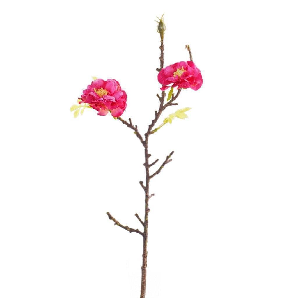 صورة المنتج 3